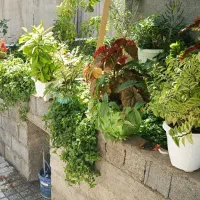 اجاره سالیانه خانه