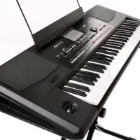 ارگ کیبورد pa300