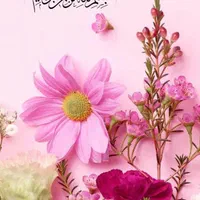 پیشنهاد شراکت با۱۴میلیون تومن سرمایه