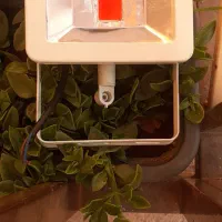 پروژوکتور ۵۰ وات مخصوص گیاه