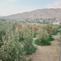 فروش ۲۰۰متر باغ دارای آب برق در شرق تهران