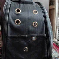 کوله پشتی حمل حیوانات