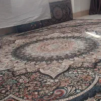 فرش سورمه ای|فرش|تویسرکان, |دیوار