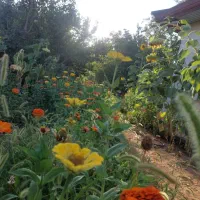 اجاره روزانه خانه باغ|اجارهٔ کوتاهمدت ویلا و باغ|ایلام, |دیوار