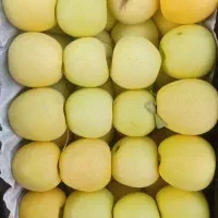 میوه سوپر لوکس میدان دادگستری