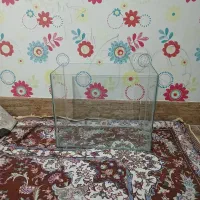 آکواریوم فروشی|ماهی|سیرجان, |دیوار
