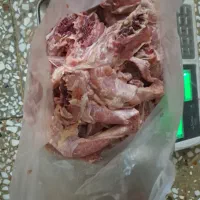 اسکلت و گردن تازه زیر قیمت|خوردنی و آشامیدنی|مسجد سلیمان, |دیوار