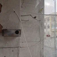 مرغ عشق و فنچ