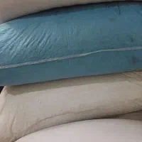 گندم