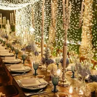 پرسنل مهماندار ظرفشور کارگر ساده