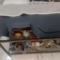 کفی بابل و روداشبورتی ۲۰۷(نو)و روداشبورتی سمند|قطعات یدکی و لوازم جانبی|آران و بیدگل, |دیوار