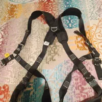 هارنس آراکس آلمانی