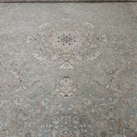 قالی ۷۰۰ شانه  در حد نو