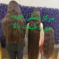 خریدفروش موطبیعی منزل و شهرستان ها خریداراصلی مو