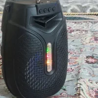 اسپیکر صوتی