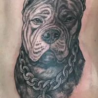 تتو بدن و آموزش تتوب بدن