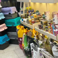 غذا خشک باکس خاک  پت شاپ کوله|لوازم جانبی حیوانات|مشهد, گلبرگ|دیوار