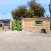 نمای ساختمان|خدمات پیشه و مهارت|میناب, |دیوار