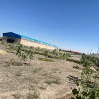فروش کارخانه شهرک صنعتی فریمان،برق 1/700 آمپر|فروش دفتر صنعتی، کشاورزی، تجاری|مشهد, آزادشهر|دیوار