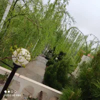 اجاره روزانه ویلا ۵۰۰ متری|اجارهٔ کوتاه‌مدت ویلا و باغ|نیشابور, منظر|دیوار