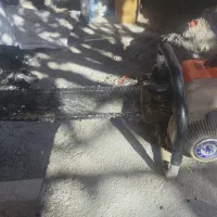 ارع موتور اشتیل در حد