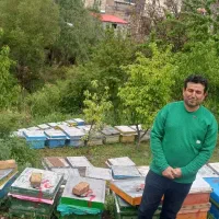 عسل طبیعی دارویی درمانی|خوردنی و آشامیدنی|تهران, ونک|دیوار