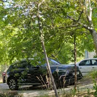 کوپا ریگان فلگ شیپ بدون رنگ