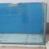 اکواریوم