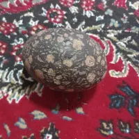 فروش سه عدد شهاب سنگ