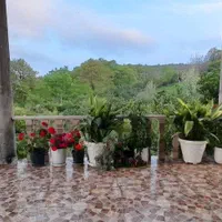 کلبه تریبلکس سوادکوه 7147|اجارهٔ کوتاهمدت آپارتمان و سوئیت|فیروزکوه, |دیوار