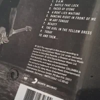 دیوید گیلمور David Gilmour (CD) سی دی اورجینال۲۰۱۵|فیلم و موسیقی|تهران, هفت حوض|دیوار