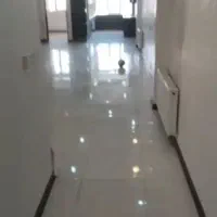 نقاشی و بنایی عبدی|خدمات پیشه و مهارت|فردیس, فردیس|دیوار