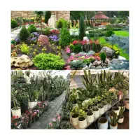 اَنجام باغبانیِ منزل وکاشت گلدان وباغچه وفضای سبز