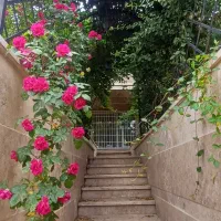 خانه ویلایی دوبلکس سند 6 دانگ