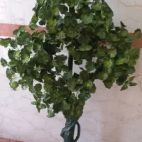 درختچه سالم|گل مصنوعی|میانه, |دیوار