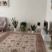 اجاره آپارتمان|اجارهٔ آپارتمان|تهران, علی‌آباد|دیوار