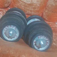 دنبل‌بشگاه‌هی