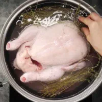 مرغ کامل آبپز شده مخصوص سگ و گربه