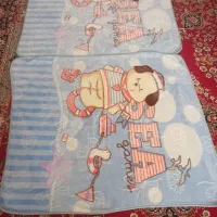 کریرپتوساک زیراندازوتشک