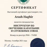 آموزش و مربی سگ ، تخصصی ترین مرکز ایران|خدمات آموزشی|مشهد, کوثر|دیوار