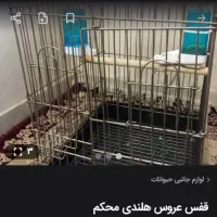 قفس طلایی عروس هلندی شیک و زیبا و تمیز و درحد