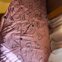 تخت دو طبقه  جنس  چوب ترک درجه یک فروش فوری|تخت و سرویس خواب|پرند, فاز ۵|دیوار