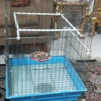 قفس کاسکو قفس پرنده