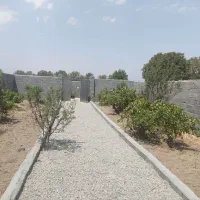 باغ-و-باغچه-بر-آسفالت