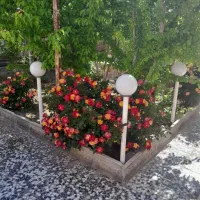 فروش منزل ویلایی|فروش خانه و ویلا|سیستان, |دیوار