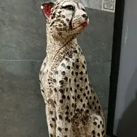 دکوراسیون