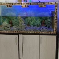 باسلام ۱عدداکواریوم به ابعاد۱۲۰طول عرض۳۰ارتفاع۶۰|ماهی|پاکدشت, شهرک امام رضا|دیوار