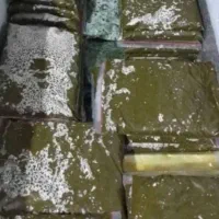 سبزی خورشتی