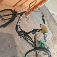 سه چرخه برند آپاچی