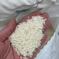 برنج طارم هاشمی ممتاز|خوردنی و آشامیدنی|تهران, دکتر هوشیار|دیوار